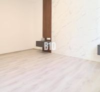 Interior of a 2-room apartment with a wooden decor floor and a decorative wall.