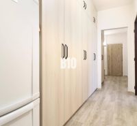 A hallway in a 3-room apartment with a wooden decor floor and light-colored cabinets.