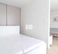 A bright room in a one-bedroom apartment with a sofa, bed, and wood-patterned flooring.