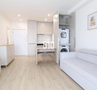 Interior of a 1-room apartment with a kitchen unit, sofa, and washing machine on a floor with a wooden decor.