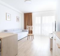A bright living space in a studio apartment with wood-patterned flooring and furniture.