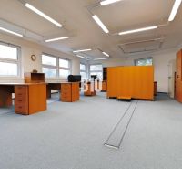 Offices with wooden furniture and carpeted floors, bright lighting, large windows.