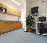 A kitchenette in production areas with wooden decor, a computer, and a potted plant.