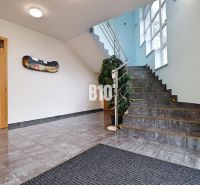 Interior of a production area with a staircase, a plant, and wooden doors.