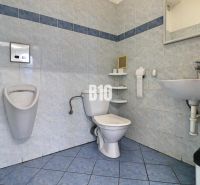 Office restroom with blue tiles and sanitary equipment.