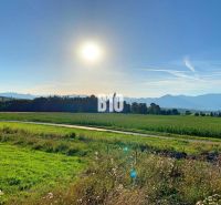 Beautiful nature with meadows at sunset, suitable for plots and living.