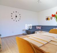 Living room with wood-patterned flooring, a comfortable sofa, and a vase with tulips.