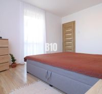 A bedroom with a bed, wardrobe, and plants on a wooden floor decor in a family house.