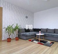 A stylish living room in a family house with a sofa, plants, and a wooden decor floor.