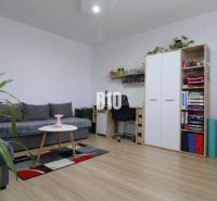 Living room in a family house with a wood-patterned floor, sofa set, cabinet, plants.