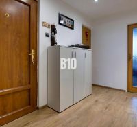 Entrance hall in a 3-room apartment with a wood-patterned floor and wooden doors.