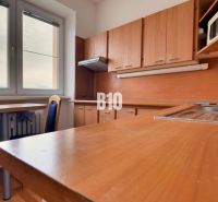 A kitchen in a studio apartment with a wood-patterned floor and a view from the window.