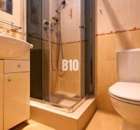 Bathroom in a studio apartment with a shower, sink, and toilet.