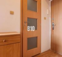 Entrance door and wooden cabinet with wood-decorated flooring in a studio apartment.