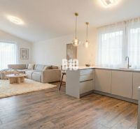 Interior of a family house with a bright kitchen, living room, and wooden decor flooring.