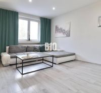 Living room with a sofa, coffee table, and wooden decor flooring in a 2-room apartment.
