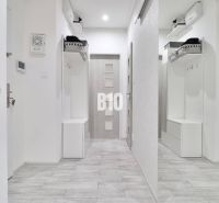 A hallway of a 2-room apartment with a coat rack wall and a wooden decor floor.
