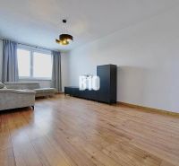Living room in a 3-room apartment with a comfortable sofa and a wooden decor floor.