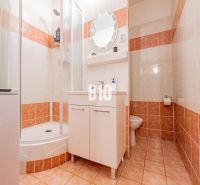 A bathroom in a 2-room apartment with tiles, a shower corner, and a cabinet under the sink.