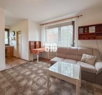 Living room in a family house with a carpet, sofa, coffee table, and kitchenette.
