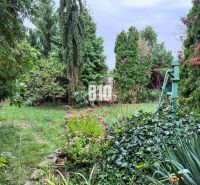 The garden of a family house in Vlkas with greenery and an old pump surrounded by plants.