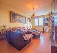 Living room in a 3-room apartment with a wooden decor floor, light furniture, and a sofa.