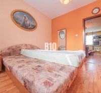 A bedroom with a sofa, a painting, and a wooden decor floor in a 3-room apartment.