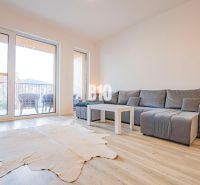 Living room in a three-room apartment with a sofa, a fur rug, and a wooden decor floor.