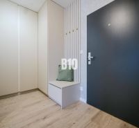 Entrance hallway of a 2-room apartment with a wooden decor floor and stylish storage space.