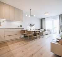 Living room connected to the kitchen in a two-room apartment with a wooden decor floor.