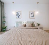 Double bed with green plants and wood-patterned flooring in a two-room apartment.