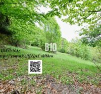 A peaceful green forest plot in Čadca intended for living, surrounded by nature and trees.