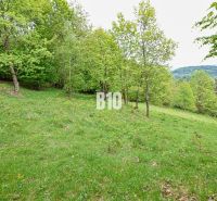 Green recreational plots in Čadca with a forest environment and a gentle slope.