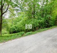 A forest road surrounded by greenery on recreational land in Čadca.
