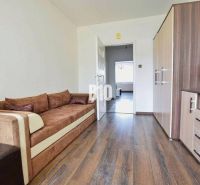 A sofa, a wooden-decor floor, and a cabinet in a 3-room apartment.