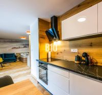 Interior of a 1-room apartment with a kitchen unit and a wooden decor floor.