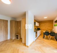 Interior of a 1-room apartment with a wooden decor floor and a kitchenette.