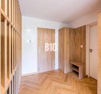 Entrance hall in a one-room apartment with wood-patterned flooring and furniture.