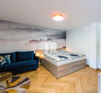 1-bedroom apartment with a sofa, bed, and wood-patterned flooring.