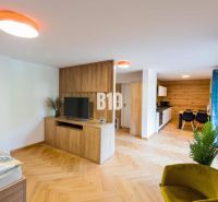 Interior of a 1-room apartment with a kitchen, decorative flooring, and a television.