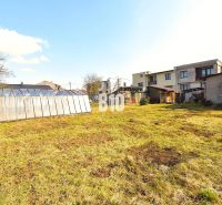 A garden with a greenhouse near a family house in Žilina, grassy area and trees.