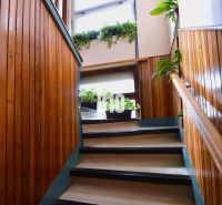 A staircase in a family house with wooden paneling and plants on the windowsill.