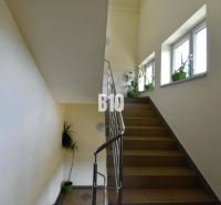 A staircase with a railing and plants next to the windows increases the natural lighting in the offices.