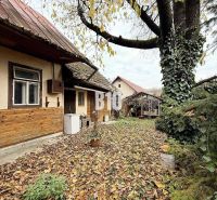 The courtyard of a family house in Kotešová covered with autumn leaves, with a large tree.