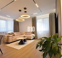 Living room in a 3-room apartment with a wooden decor floor, a light couch, and a plant.