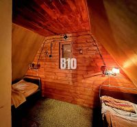 A rustic interior of a cabin with two beds and wooden paneling on the walls.