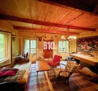 The interior of a cabin with a wooden ceiling, comfortable seating, and a decorative carpet on the wall.