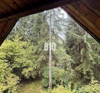 The view from the cottage in Kunerad to the dense forest with spruces.