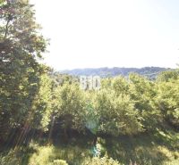 A wooded landscape near a cottage in Bytča, sunlight streaming through the trees.