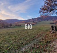 A landscape with pastures and trees, ideal for land and living in nature.